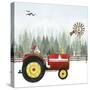 Country Santa II-Grace Popp-Stretched Canvas
