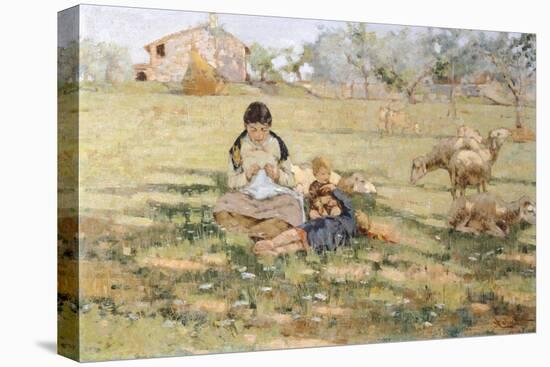 Country Scene, 1891-Niccolo Cannicci-Stretched Canvas