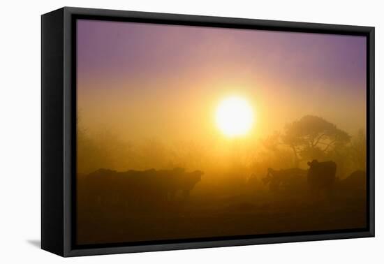 Country Scene-Viviane Fedieu Daniel-Framed Stretched Canvas