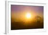 Country Scene-Viviane Fedieu Daniel-Framed Photographic Print