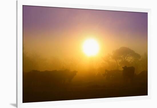 Country Scene-Viviane Fedieu Daniel-Framed Photographic Print