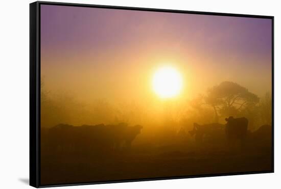 Country Scene-Viviane Fedieu Daniel-Framed Stretched Canvas