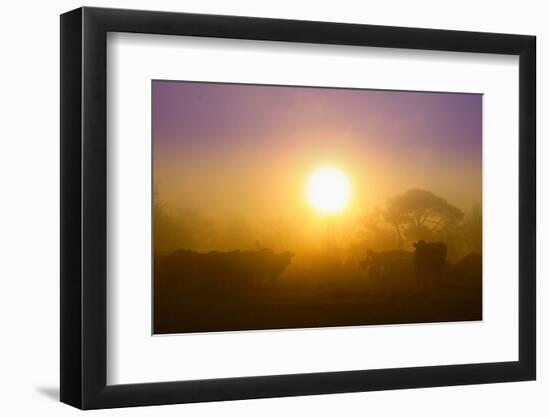 Country Scene-Viviane Fedieu Daniel-Framed Premium Photographic Print