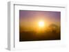 Country Scene-Viviane Fedieu Daniel-Framed Premium Photographic Print