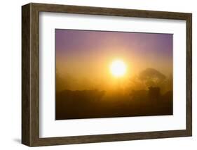 Country Scene-Viviane Fedieu Daniel-Framed Photographic Print