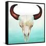 Country Skull-Elizabeth Medley-Framed Stretched Canvas