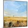 Country Sky-Michael Paraskevas-Mounted Art Print