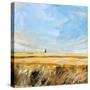 Country Sky-Michael Paraskevas-Stretched Canvas