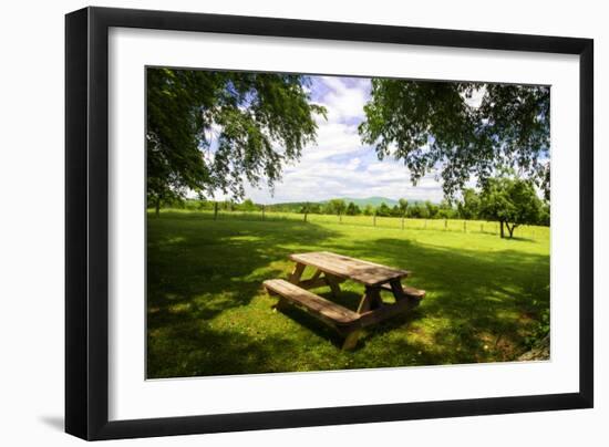 Country Springtime I-Alan Hausenflock-Framed Photographic Print