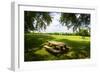 Country Springtime I-Alan Hausenflock-Framed Photographic Print