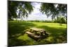 Country Springtime I-Alan Hausenflock-Mounted Photographic Print