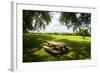 Country Springtime I-Alan Hausenflock-Framed Photographic Print