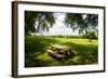 Country Springtime I-Alan Hausenflock-Framed Photographic Print