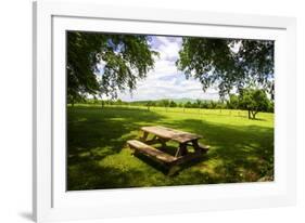 Country Springtime I-Alan Hausenflock-Framed Photographic Print