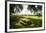 Country Springtime I-Alan Hausenflock-Framed Photographic Print