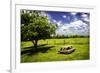 Country Springtime II-Alan Hausenflock-Framed Photographic Print