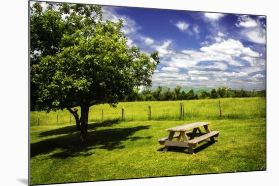 Country Springtime II-Alan Hausenflock-Mounted Photographic Print