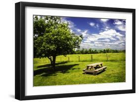 Country Springtime II-Alan Hausenflock-Framed Photographic Print