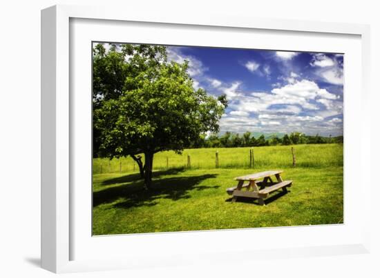 Country Springtime II-Alan Hausenflock-Framed Photographic Print