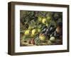 Country Still Life I-Oliver Clare-Framed Premium Giclee Print