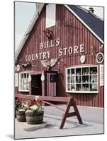 Country Store, Vermont, USA-null-Mounted Photographic Print