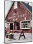 Country Store, Vermont, USA-null-Mounted Photographic Print