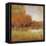 Country Story-Jill Schultz McGannon-Framed Stretched Canvas