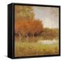 Country Story-Jill Schultz McGannon-Framed Stretched Canvas