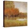 Country Story-Jill Schultz McGannon-Stretched Canvas
