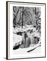 Country Stream in Winter, Michigan-null-Framed Premium Giclee Print