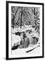 Country Stream in Winter, Michigan-null-Framed Premium Giclee Print