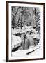 Country Stream in Winter, Michigan-null-Framed Premium Giclee Print