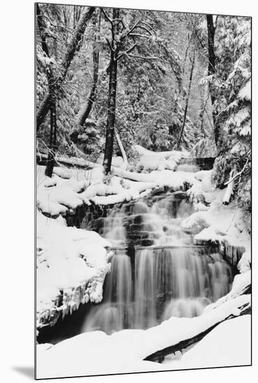 Country Stream in Winter, Michigan-null-Mounted Premium Giclee Print