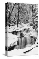 Country Stream in Winter, Michigan-null-Stretched Canvas