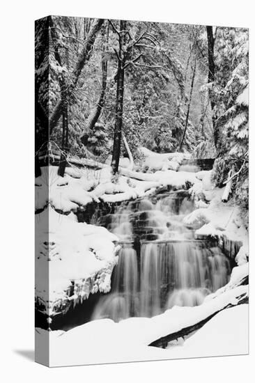 Country Stream in Winter, Michigan-null-Stretched Canvas
