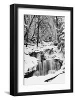 Country Stream in Winter, Michigan-null-Framed Art Print