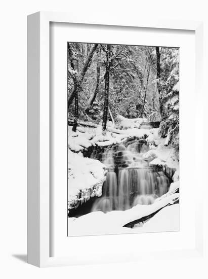 Country Stream in Winter, Michigan-null-Framed Art Print