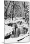 Country Stream in Winter, Michigan-null-Mounted Art Print