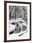 Country Stream in Winter, Michigan-null-Framed Art Print