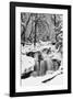 Country Stream in Winter, Michigan-null-Framed Art Print