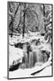 Country Stream in Winter, Michigan-null-Mounted Art Print