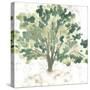 Country Tree I-June Vess-Stretched Canvas