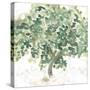 Country Tree II-June Vess-Stretched Canvas