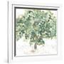 Country Tree II-June Vess-Framed Art Print