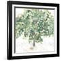 Country Tree II-June Vess-Framed Art Print