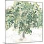 Country Tree II-June Vess-Mounted Art Print