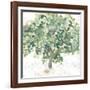Country Tree II-June Vess-Framed Art Print