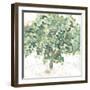 Country Tree II-June Vess-Framed Art Print