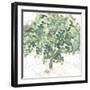 Country Tree II-June Vess-Framed Art Print