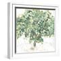 Country Tree II-June Vess-Framed Art Print